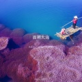 夏宇 - 时光漫步