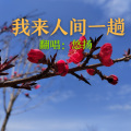 悠扬 - 我来人间一趟