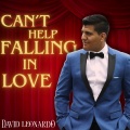 David Leonardo - Can't Help Falling in Love