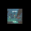 홍성화 - 호랑수월가