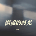 陈焕明 - 狮子山下