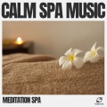Meditation Spa - Healing Rain