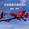 悠扬 - 你是我遇见最好的人