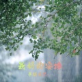 辛禄乐队 - 追寻你