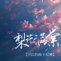 亓江的雨、小纪神 - 梨花满棠