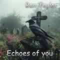 ben taylor - Echoes of You