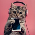 Cadencia Felina: Música Relajante Para Amigos Felinos