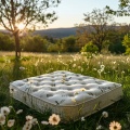 Relajación en la naturaleza、Beatriz Pichi Malen、Domenya - Melodía De Retiro Relajante
