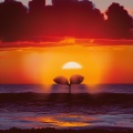 follow the sun
