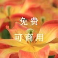 门店轻音乐 - 八音盒旋律