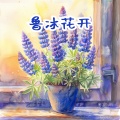 王龙、宿雨涵 - 鲁冰花开