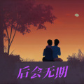 后会无期小提琴版