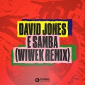 E Samba (Wiwek Extended Remix)