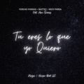 Tu Eres Lo Que Quiero (feat. Aron Suarez & Wilson Ramirez)