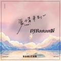 爱情来到 (DJBanan版)