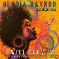 I will survive (Extended Funky Latin House Mix)