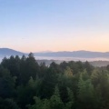 知声 - 情けは人の為ならず