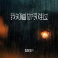 灏灏灏仔 - 我知道你很难过