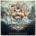 Radical Redemption - The Funfair of Madness
