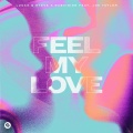 Feel My Love (feat. Joe Taylor)(Extended Mix)