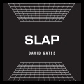david gates、David Alexander Gates - Slap