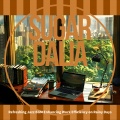 Refreshing Jazz BGM Enhancing Work Efficiency on Rainy Days