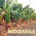 El Hombre Del Planeta X - Mandanga