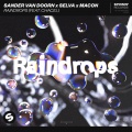 Raindrops (feat. Chacel)(Extended Mix)