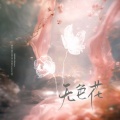 佳J、素墨、Alkene、于悸、KayYeon凯妍、安桉不叫zmlm、阿彤Yianty、77淇仔做得好 - 无色花