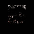 Soft Sighing Dusk I Never See You