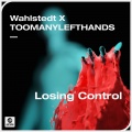 Losing Control (Extended Mix)