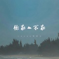 Lacey刘欣儿 - 你在，不在