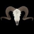 Mürn - Mortis