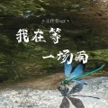 王佳音 - 我在等一场雨