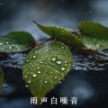 雨声钢琴 美丽轻音乐超舒适 助眠放松学习睡觉