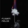 helen morgan - Flower Fields