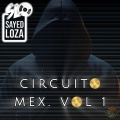 Sayed Loza、DJ Suave、Mike Zadda - ****ing Crazy (feat. Dj Suave & Mike Zadda|Special Version)