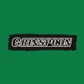 grinspoon - More Than You Are