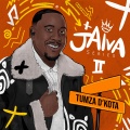 Jaiva 7 (feat. Seun1401, Dinho & El Stephano)