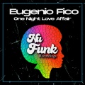 One Night Love Affair