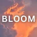 Colorados - Bloom