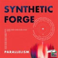 Parallelism - Structura