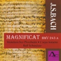 Susanne Cornelius、Claudia Darius、Hans Jörg Mammel、Matthias Horn、Rolf Schweizer、Motettenchor Pforzheim、L'Arpa Festante - Magnificat zur Weihnachtsvesper, BWV 243a: X. Deposuit potentes de sede