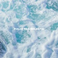 Palm Sea Selecta - Venice Beach