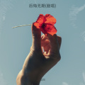 后悔无期    女生版