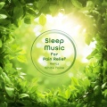 贵族音乐 (Noble Music) - 月光潮汐之下 (432赫兹: 舒眠) [雨声]