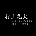 童乐乐 - 打上花火