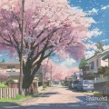 Shimoki - Into the Dark