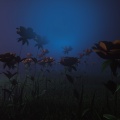 The FifthGuys、SNNR、The Late Night Project、Giacomo Pavese、Stefano Panelli - Not Your Gf