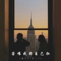 胡十三、王一一 - 痴心妄想一场空